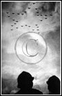 M Markov-Grinberg